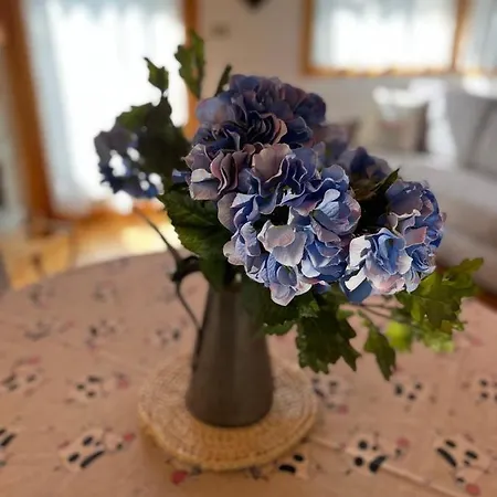 Апартаменты Blanc 